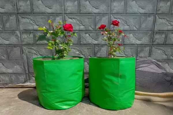 VK Sarvottam HDPE Grow Bags