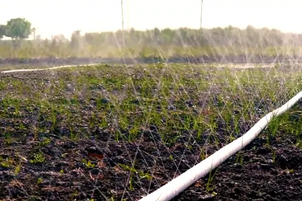 VK Rain Pipe Irrigation System