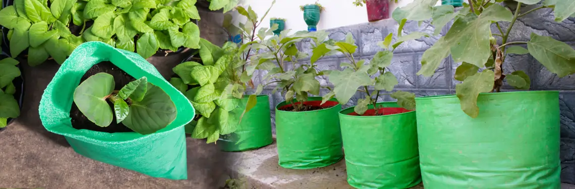 HDPE VK Grow Bag for terrace gardening
