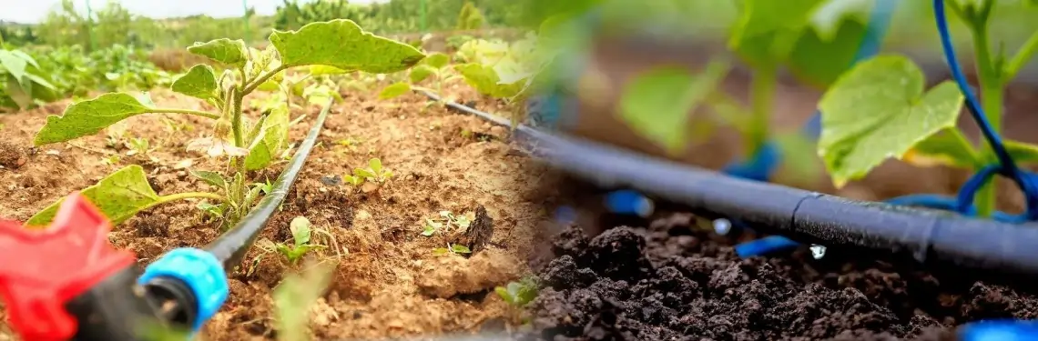 drip water irrigation system vk agriculture